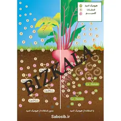 کود هیومیک اسید یک لیتری