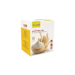 پودر جوانه گندم دکتر بیز