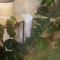 رطوبت ساز شیائومی مدل Mi Smart Antibacterial ZNJSQ01DEM