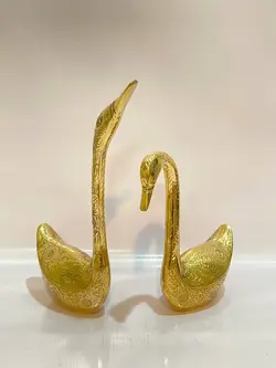 قو عاشق هندی