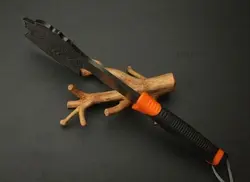 تبر شیر کلمبیا lion