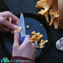 چاقو کمپینگ پریموس PRIMUS مدل FIELDCHEF - تاشو - سوئدی
