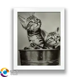 تابلو نقاشی گربه - تابلوی نقاشی طرح بچه گربه با تکنیک زغال کنته - کاسپین کالا