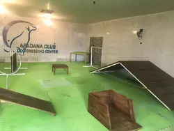 پانسیون حیوانات در اصفهان ،پانسیون آپادانا اصفهان 2