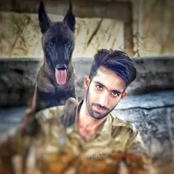 مربی آموزش سگ در اصفهان 2 |پت شاپ کت داگ آنلاین