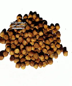 غذای گربه فله ای|غذای خشک گربه حمایتی| پت شاپ کت داگ آنلاین