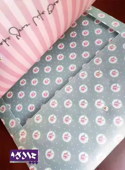 پوشه فانتزی طرح گلگلی