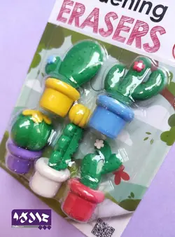 پاکن فانتزی طرح گل و کاکتوس