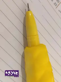 روان نویس اسکوییشی آناناس و کاکتوس