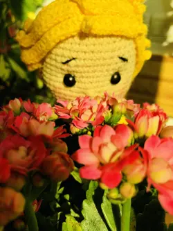 عروسک کاموایی شازده کوچولو 🦊 (کد293) - چیچیلاس - فروشگاه آنلاین عروسک