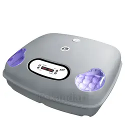 دستگاه جوجه کشی 72 تایی آژاکس