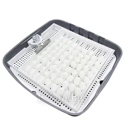 دستگاه جوجه کشی 72 تایی آژاکس