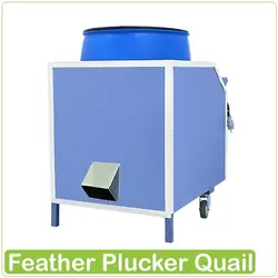 پرکن بلدرچین بزرگ