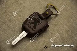 جاسوئیچی پژو 206 و 207