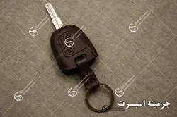 جاسوئیچی پژو 206 و 207
