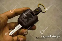 جاسوئیچی پژو 206 و 207