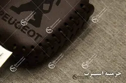 جاسوئیچی پژو 206 و 207