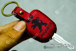 جاسوئیچی پژو 206 و 207