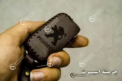 جاسوئیچی پژو تاشو 2 کلید