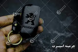 جاسوئیچی پژو تاشو 2 کلید