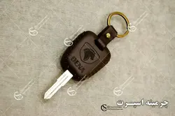 جاسوئیچی دنا