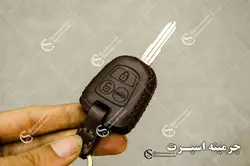 جاسوئیچی دنا