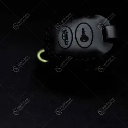 جاسوئیچی گل فولکس