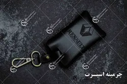 جاسوئیچی رنو فلوئنس و کپچر