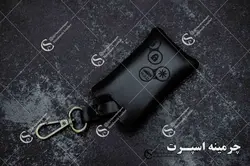 جاسوئیچی رنو فلوئنس و کپچر