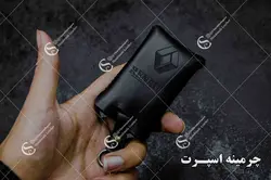 جاسوئیچی رنو فلوئنس و کپچر