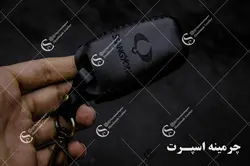 جاسوئیچی سانگ یانگ تیوولی