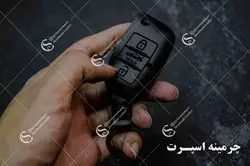 جاسوئیچی سمند تاشو