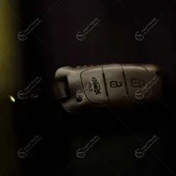 جاسوئیچی هیوندا کج