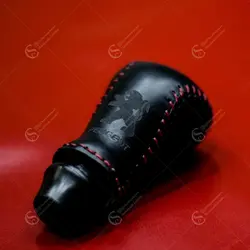 سردنده مناسب برای پژو 206 و 207