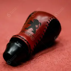 سردنده مناسب برای پژو 206 و 207