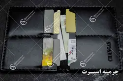کیف مدارک چانگان