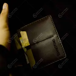کیف مدارک سانگ یانگ