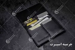 کیف مدارک سانگ یانگ