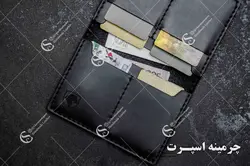 کیف مدارک سمند