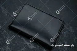 کیف مدارک سمند