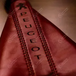 گردگیر دنده پژو