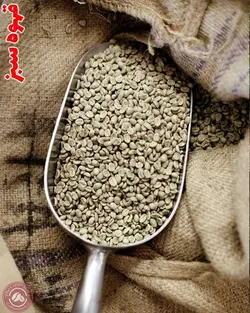 قهوه سبز اندونزی☘️