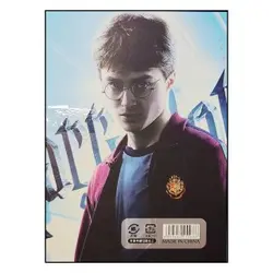 مجموعه اکسسوری فلزی هری پاتر