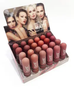 پک رژ لب جامد و مات تاتو___ MEET YOUR MATTE SILKY LIPSTICK _TATO -