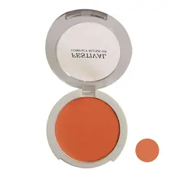 رژگونه فستیوال شماره ۸۰۷F