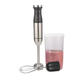 گوشت کوب دلمونتی مدل DL100D | گوشت کوب DL100D | دارین مارکت