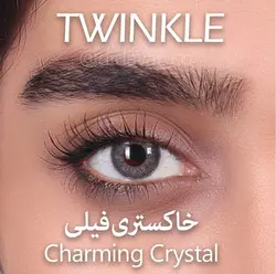 خاکستری فیلی - TWINKLE