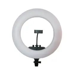 رینگ لایت حرفه ای Ring Light RM480 II بدون صفحه نمایش | دیدبرتر