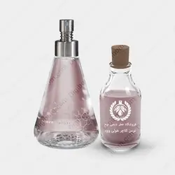 عطر نومنکلاتور هولی وود - Nomenclature Holy Wood