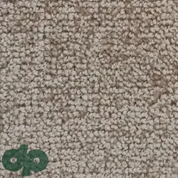 پالازموکت - زیبا 5803